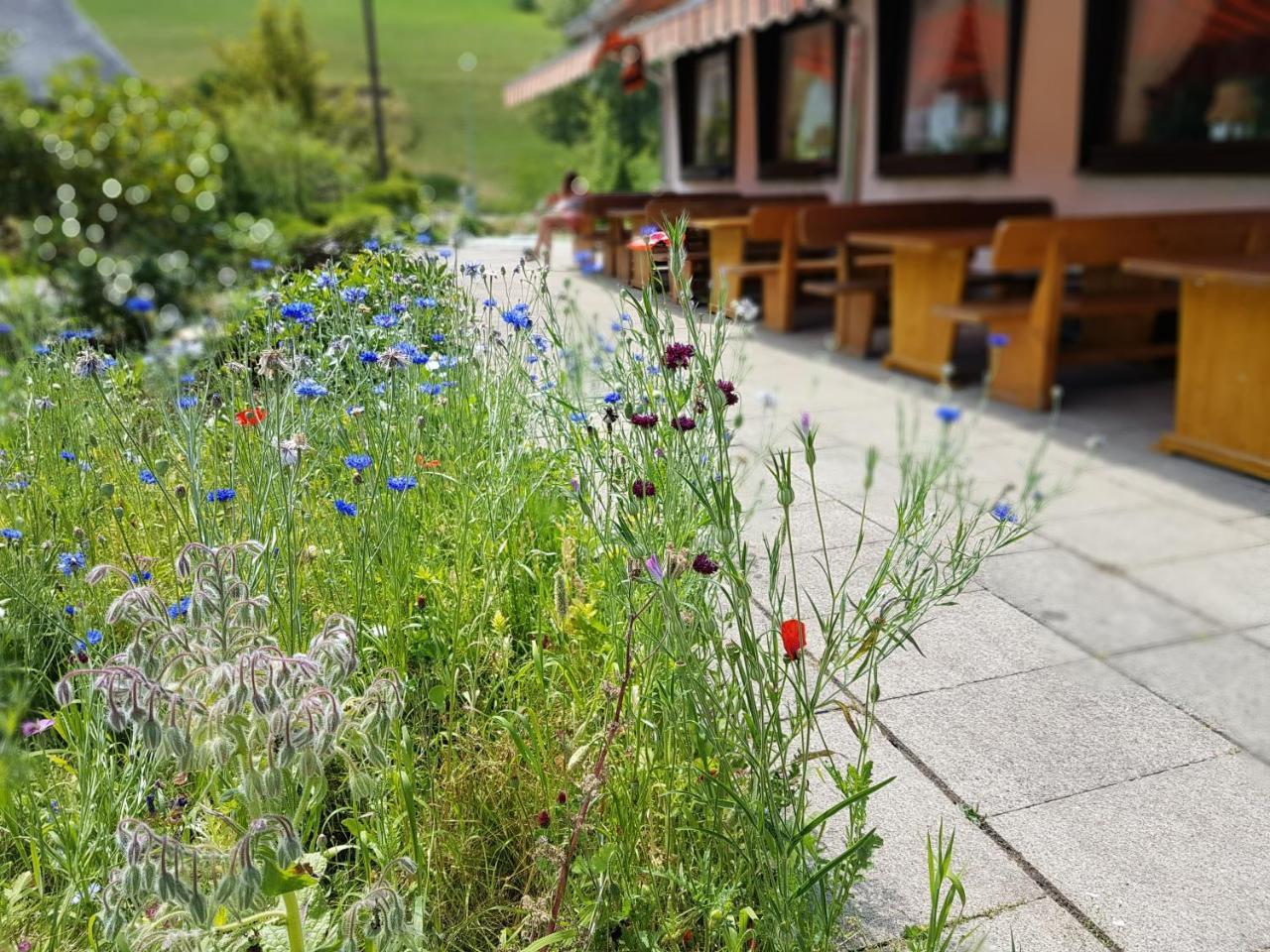 Hotel Landhaus Sonnenhof Тодтнау Экстерьер фото